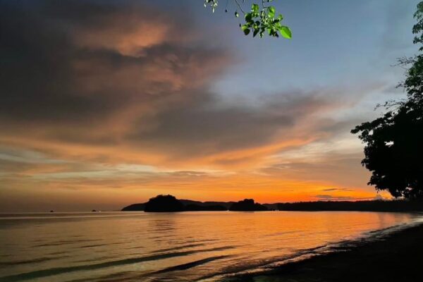 Krabi: Phi Phi & 4 Islands Sunset Speedboat Tour