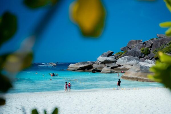 Krabi: Similan Islands 1-Day Speedboat Tour