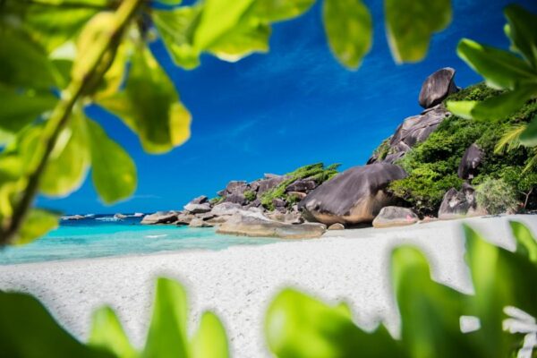 Krabi: Similan Islands 1-Day Speedboat Tour