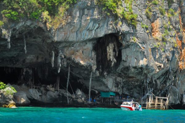 Phi Phi Islands Full-Day Speedboat Adventure from Krabi